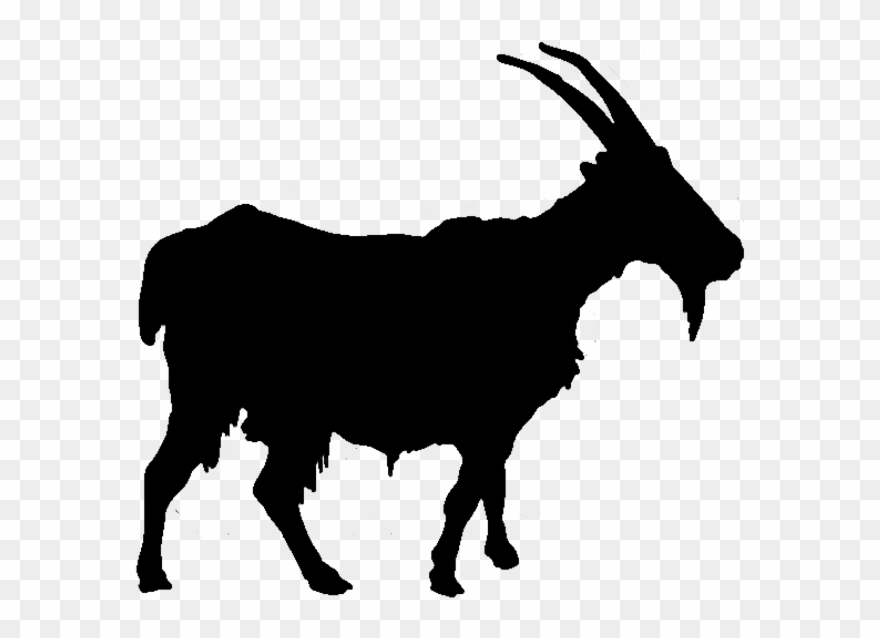 goat clipart nubian goat