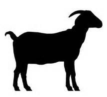 Goat clipart shadow. Free nubian silhouette download