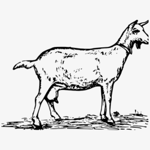 goat clipart traceable