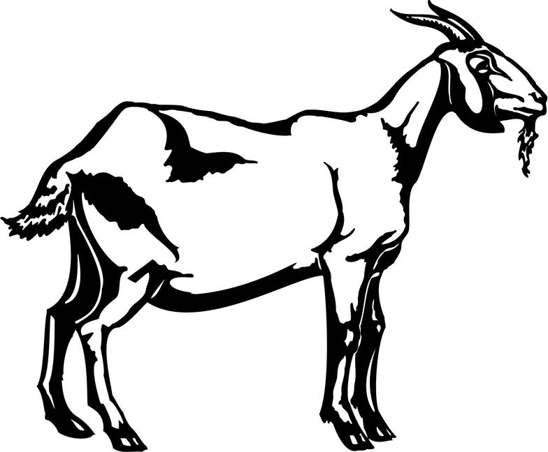 goat clipart vector