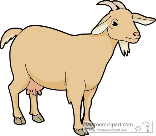 Goat clipart vector cartoon. 