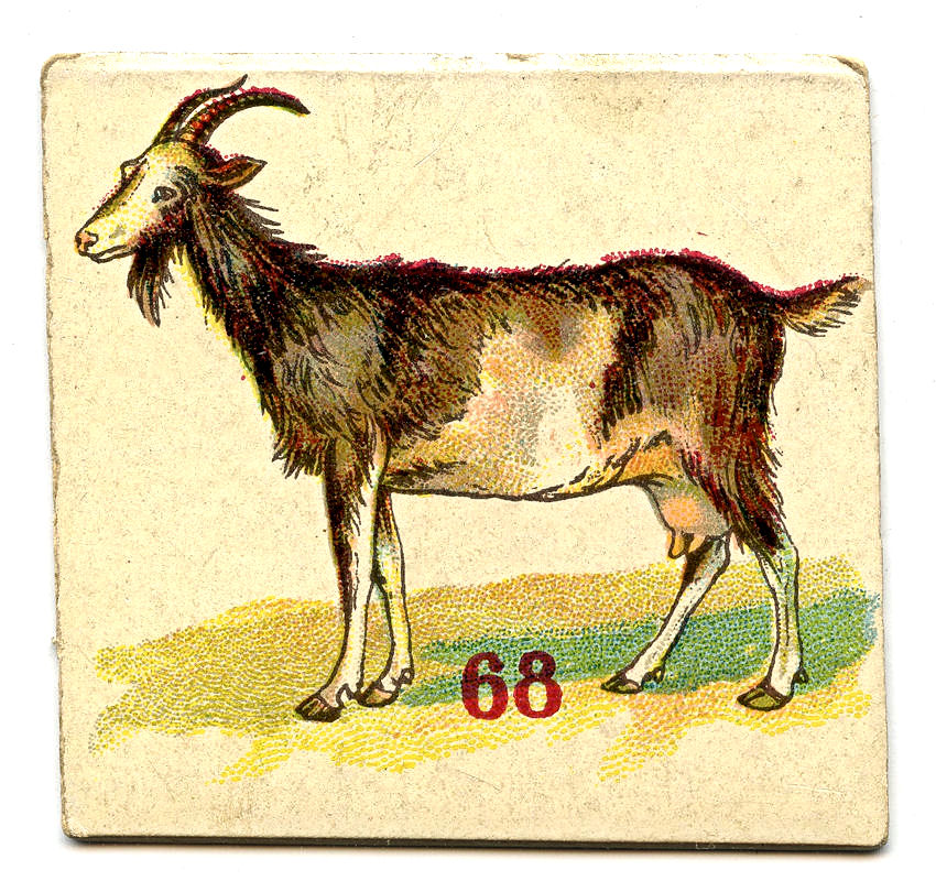 goat clipart vintage