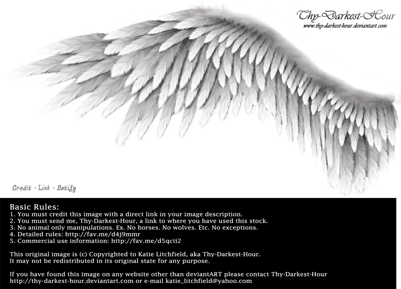 Selected image creative commons. Gold clipart eyelash