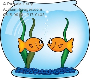 Free download best on. Goldfish clipart 2 fish