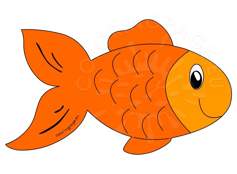 fish clipart orange