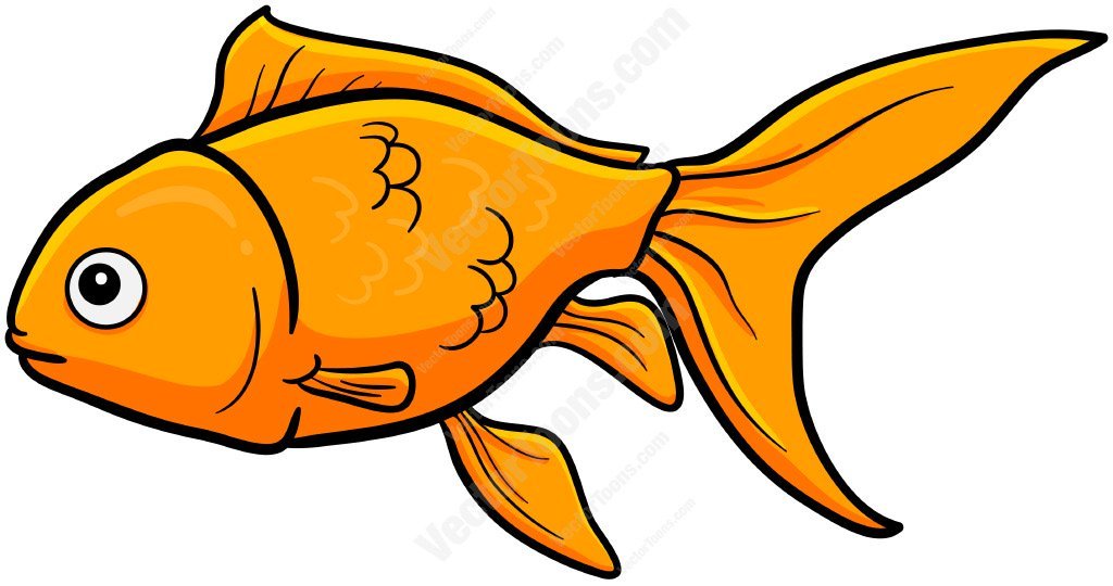 goldfish clipart artistic