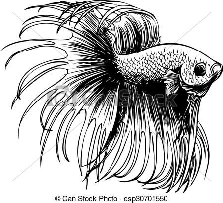 goldfish clipart beta fish