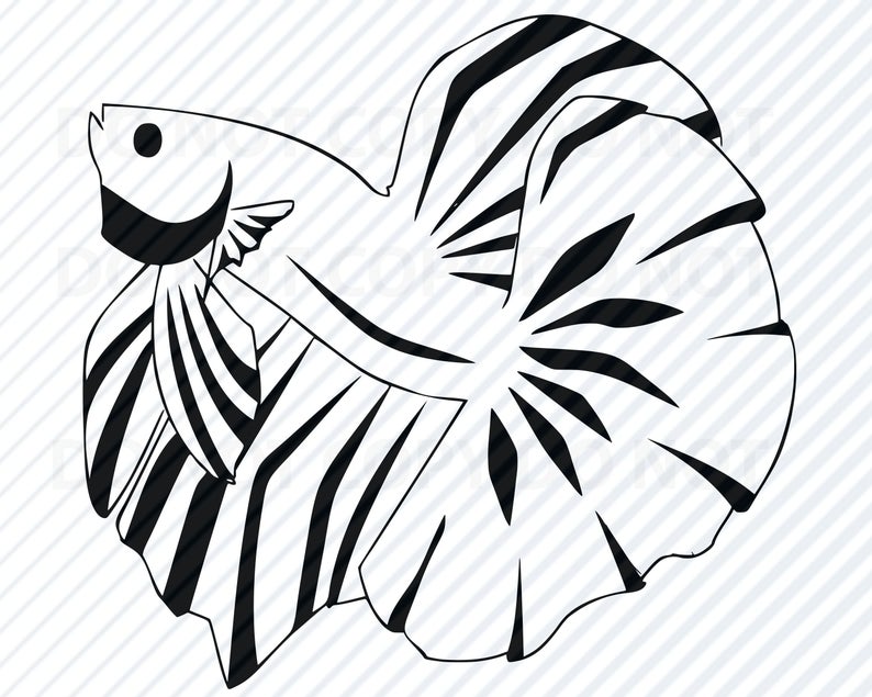 Download Goldfish clipart beta fish, Goldfish beta fish Transparent ...