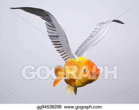 goldfish clipart bird