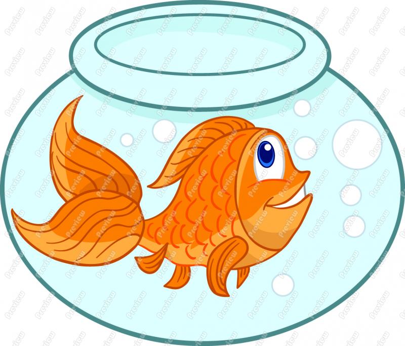 goldfish clipart cartoon