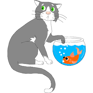 goldfish clipart cat