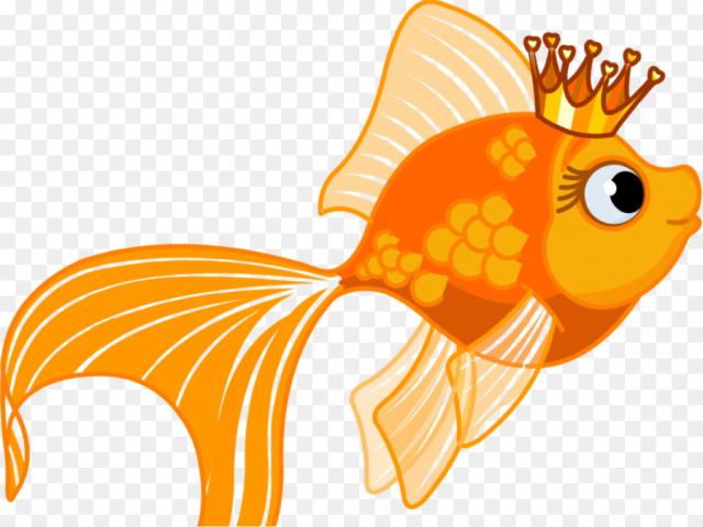 goldfish clipart clip art