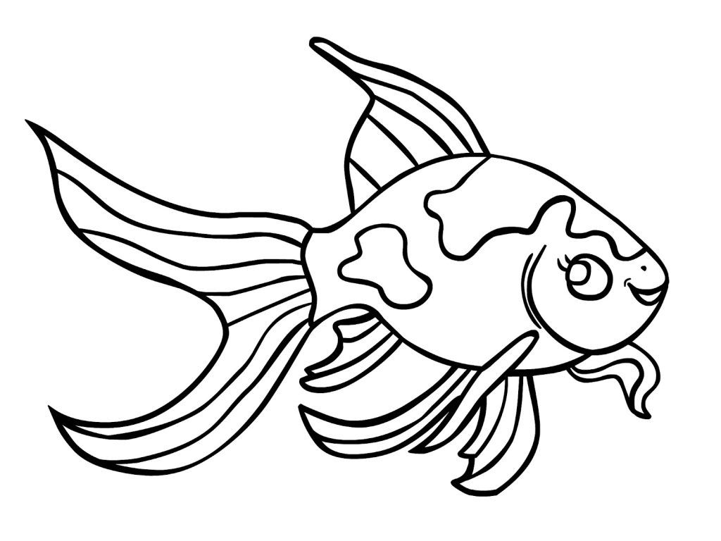 goldfish clipart coloring page