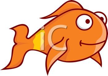 goldfish clipart face