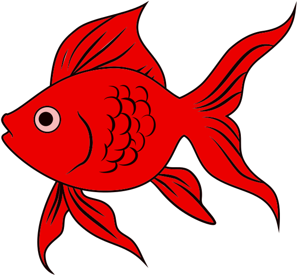 Goldfish fish fin