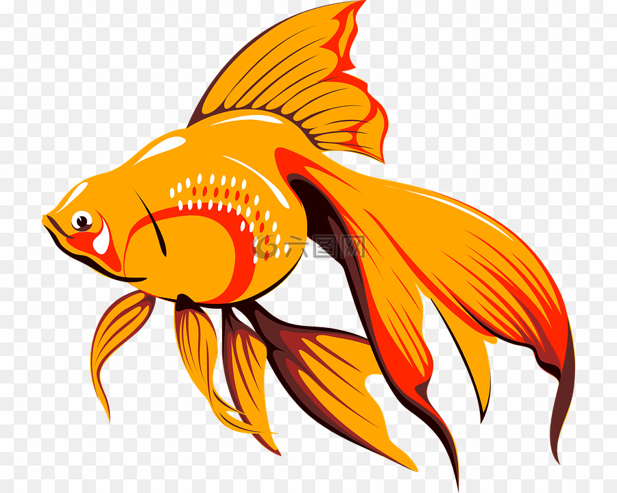 Download Goldfish clipart fish fin, Goldfish fish fin Transparent ...