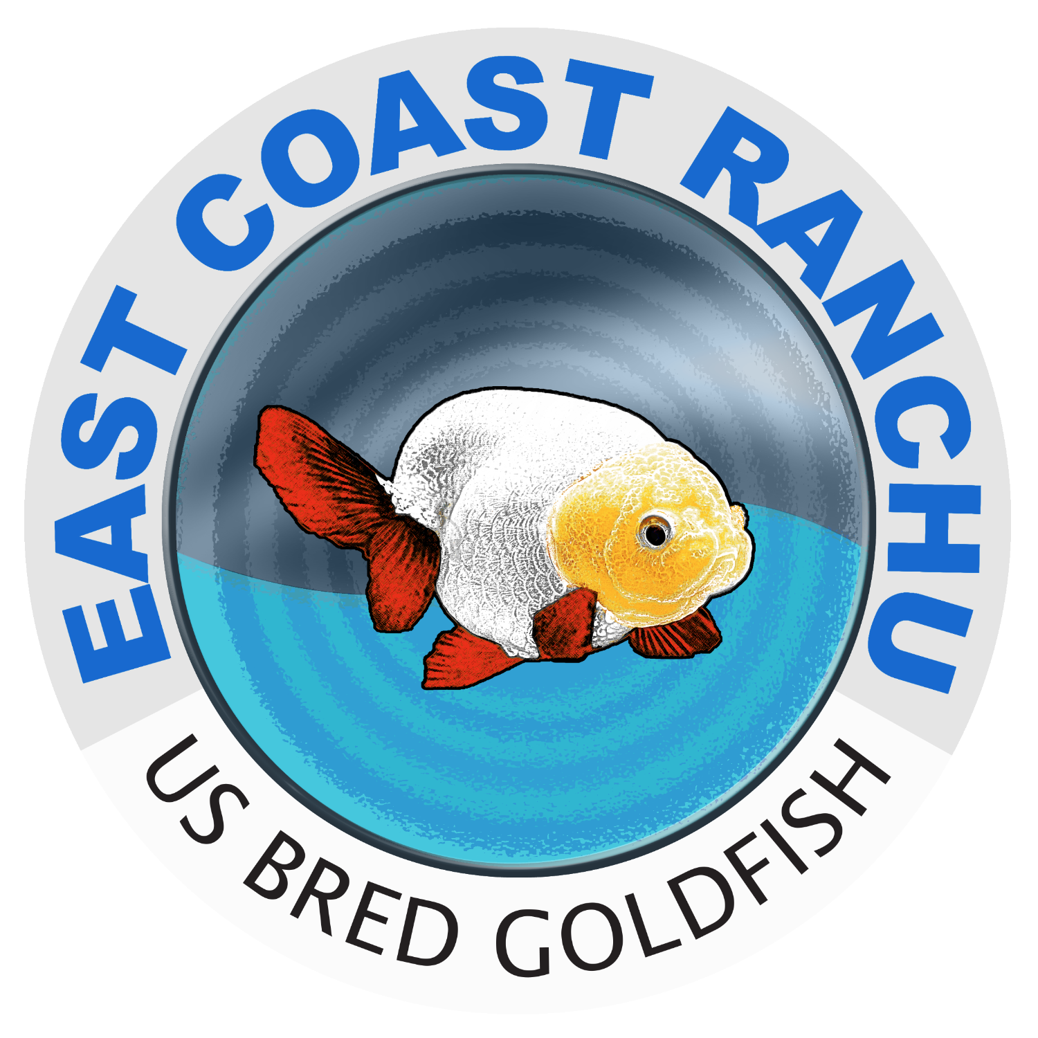 Goldfish clipart fish head. For sale united states