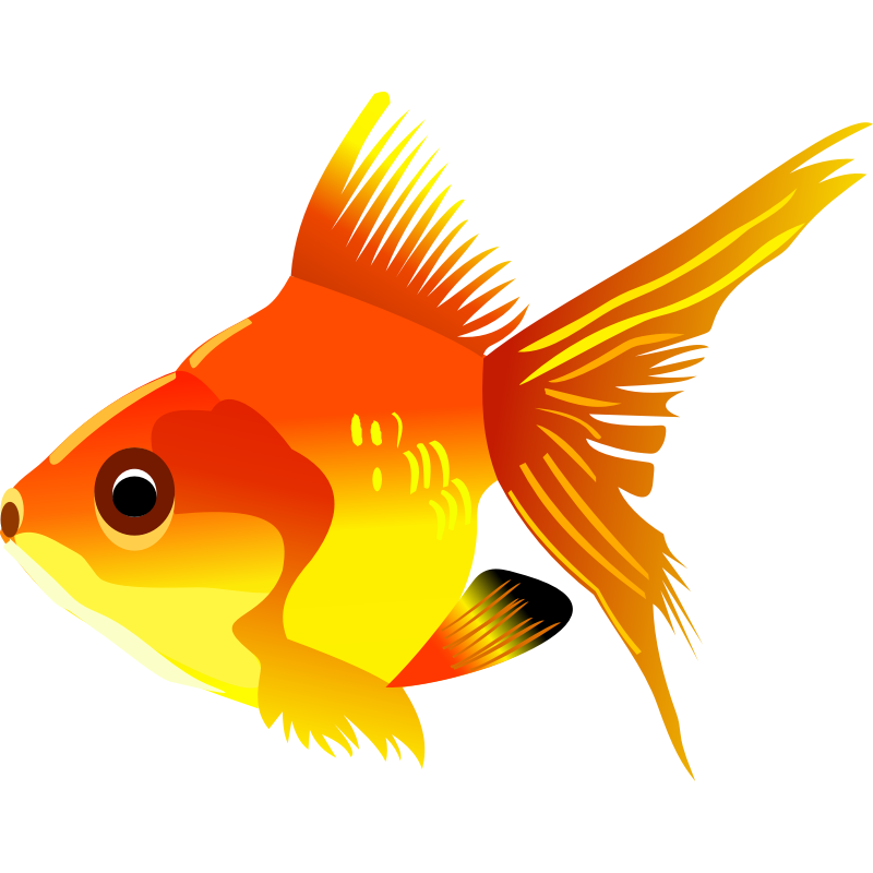 Cartoon images hanslodge cliparts. Goldfish clipart fishblack