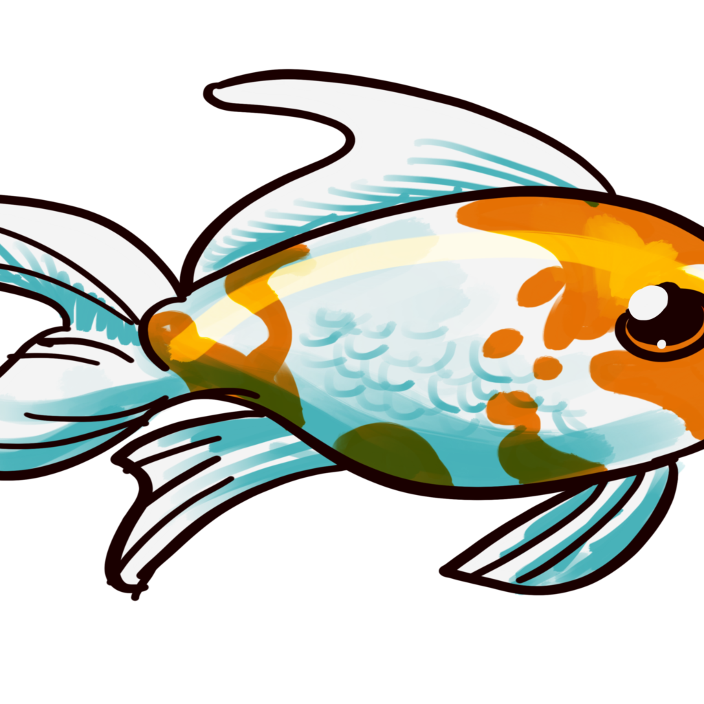 Goldfish clipart fishblack. Comet care and info