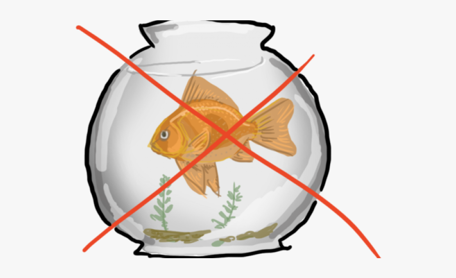 goldfish clipart glass object
