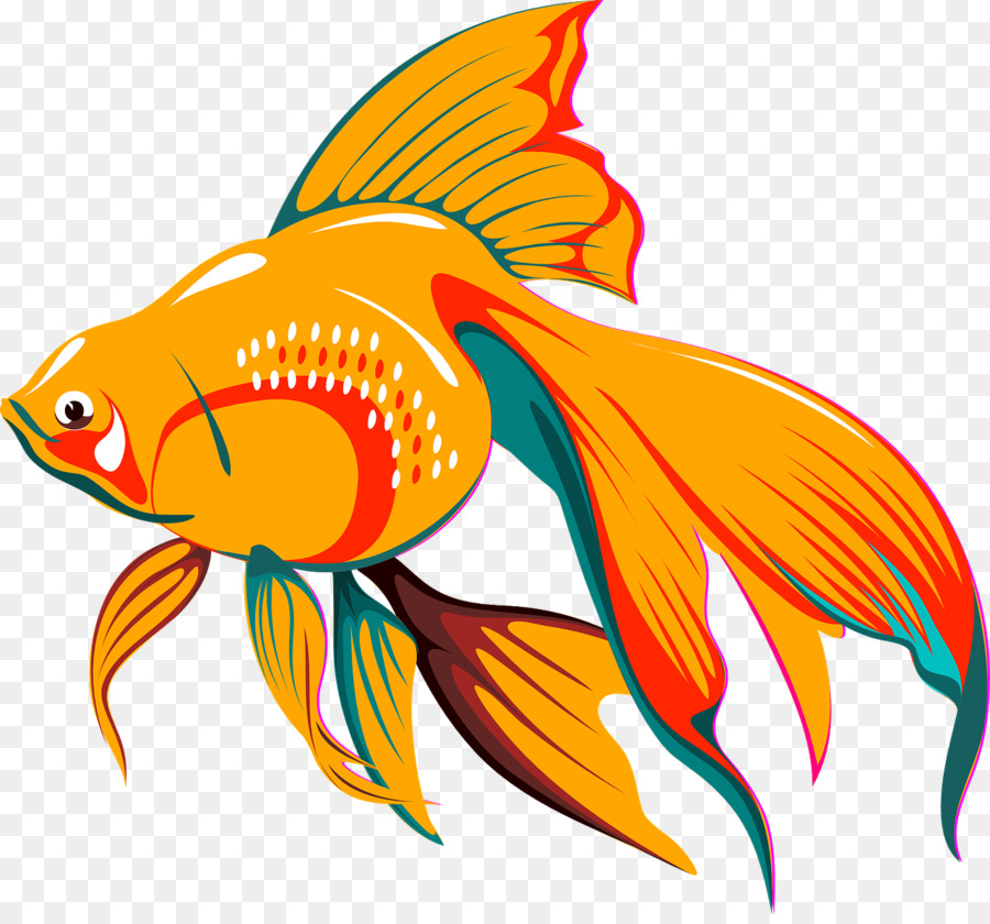 goldfish clipart goldfish outline