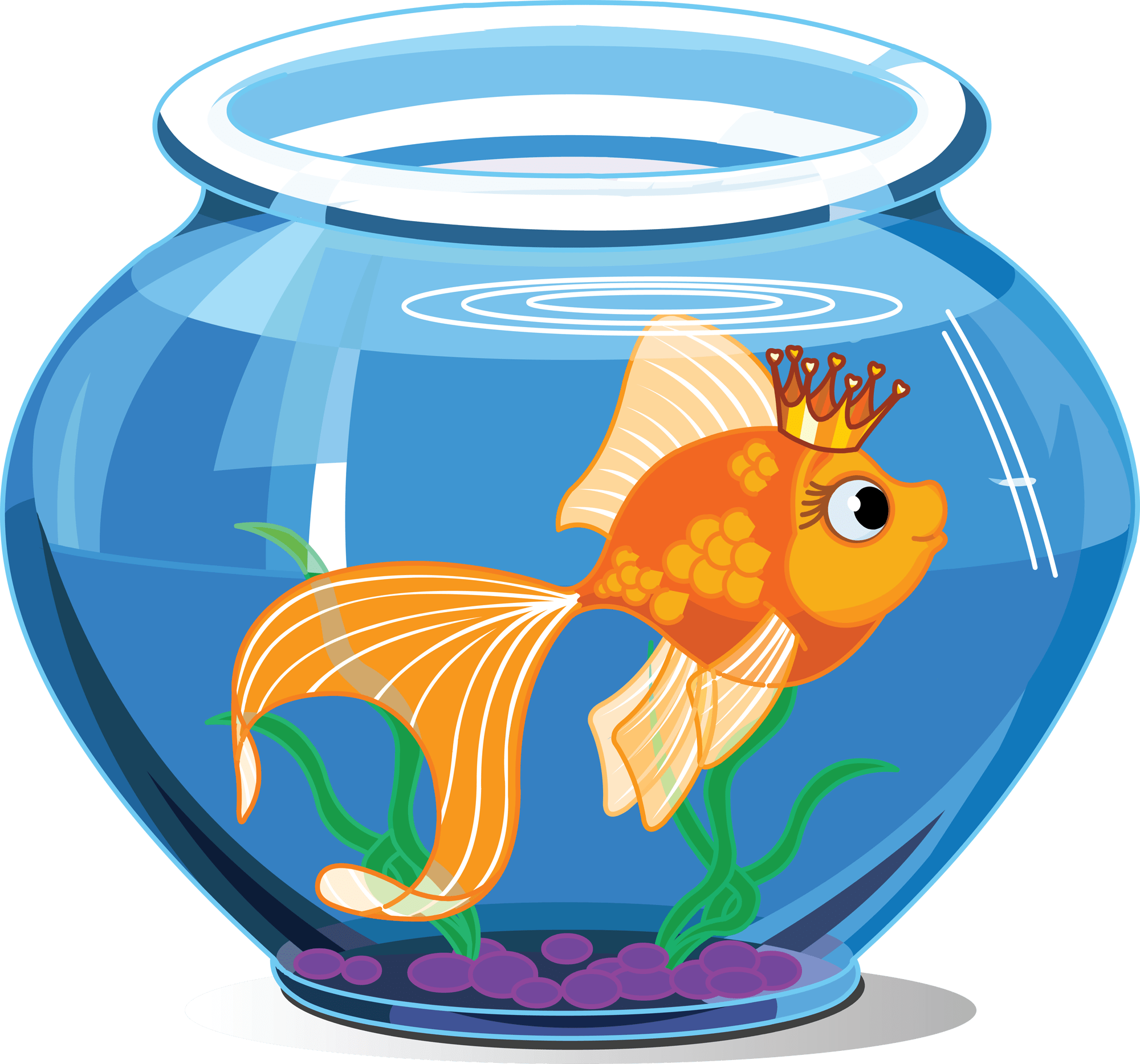 aquarium clipart fish feeder
