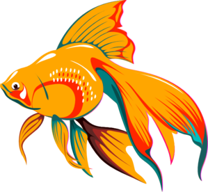 Gold fish clip art. Goldfish clipart ikan