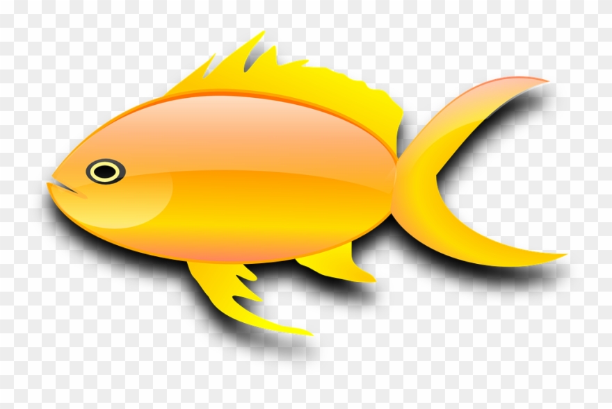 Gold fish gambar clip. Goldfish clipart ikan