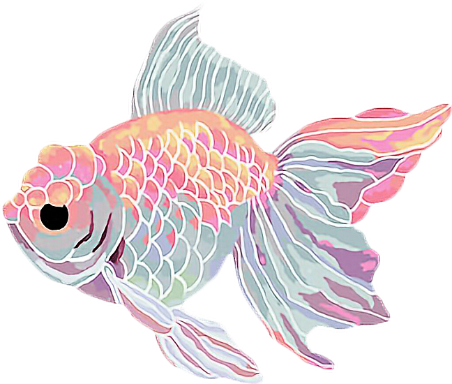 Goldfish kawaii