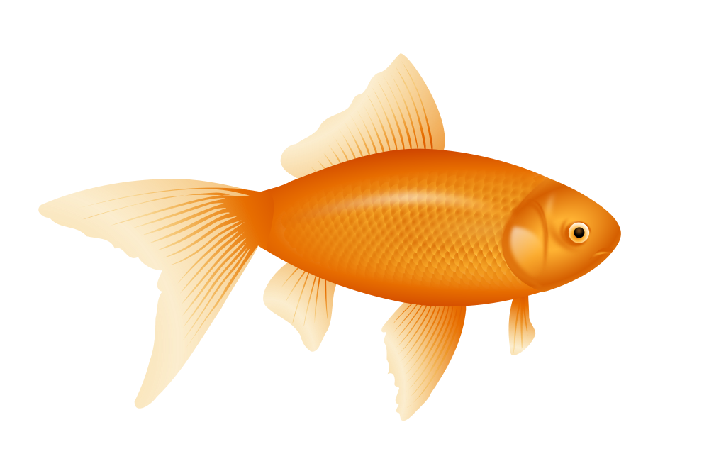 goldfish clipart label