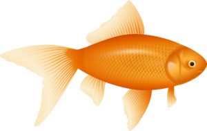 Clip art vector online. Goldfish clipart label
