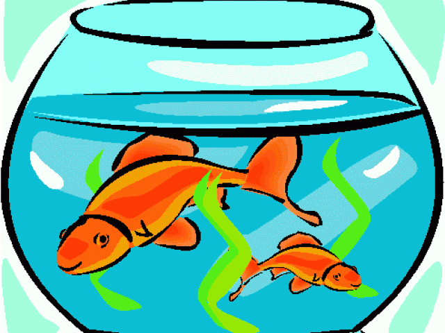 goldfish clipart objects