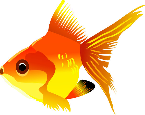 goldfish clipart objects