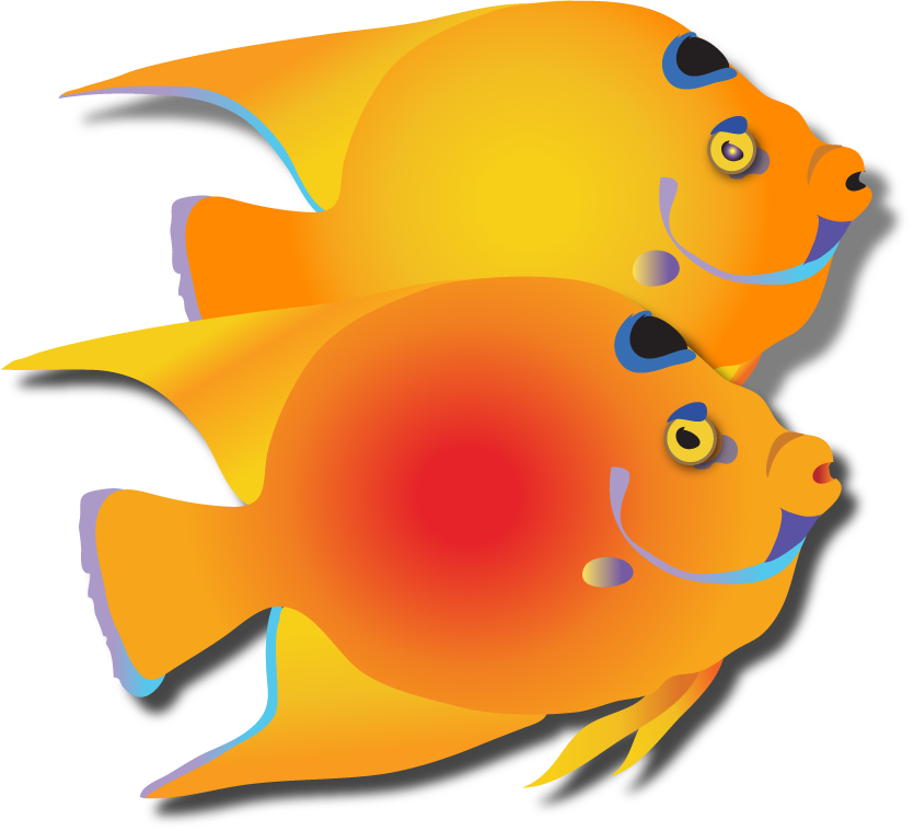 goldfish clipart orange colored