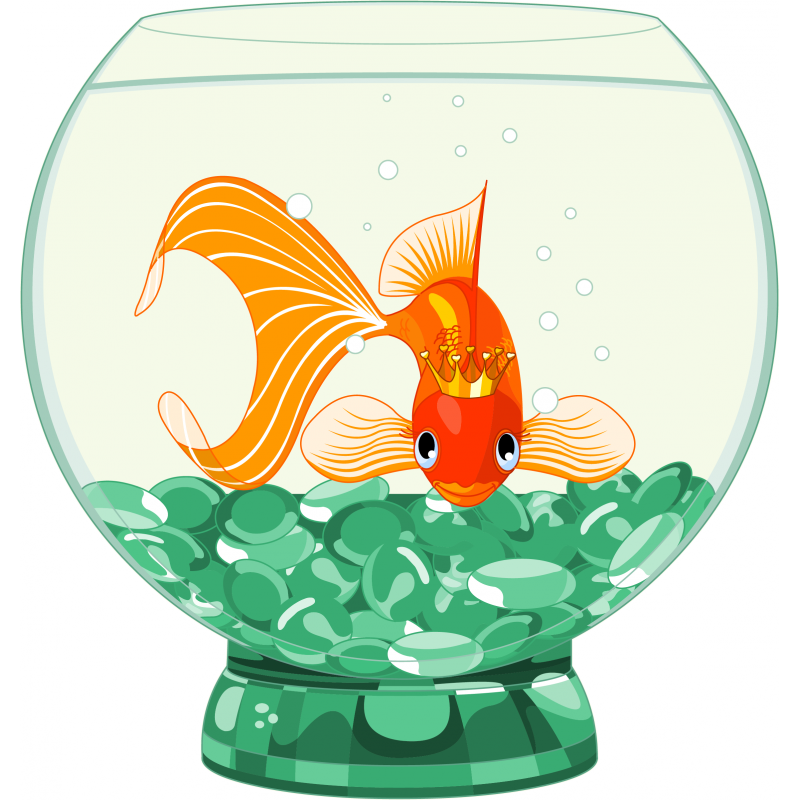 goldfish clipart poisson