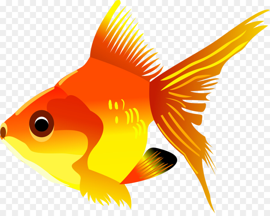 Goldfish Clipart Poisson Picture 2762452 Goldfish Clipart Poisson