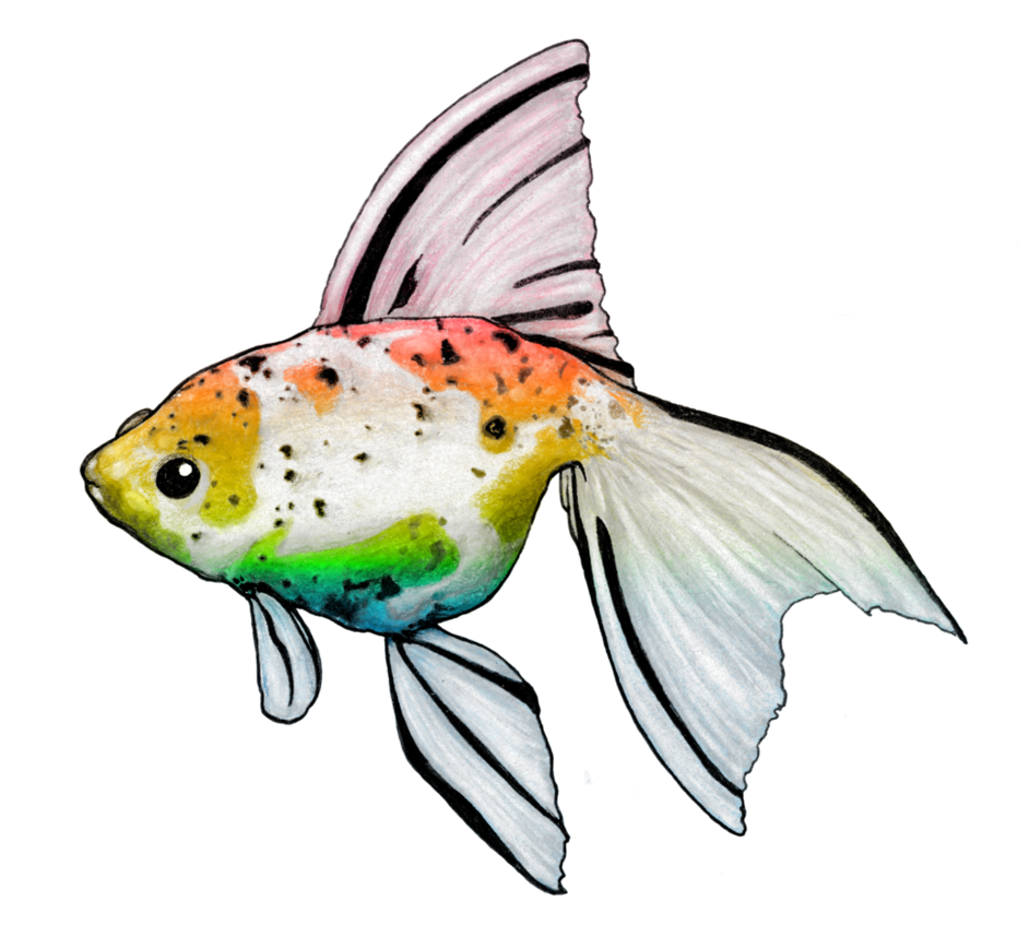 Golfish by nickidoodles on. Goldfish clipart rainbow