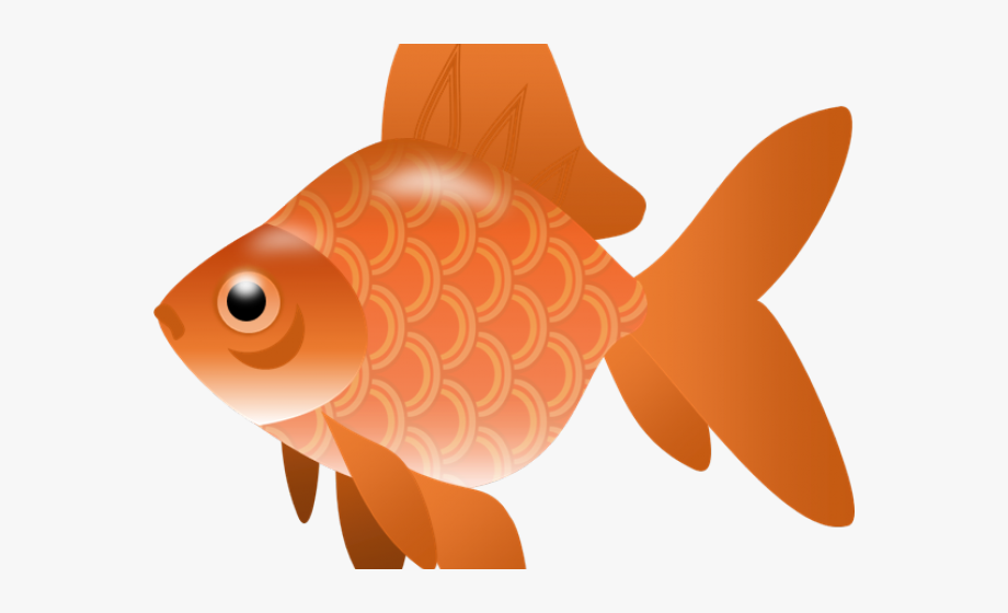 Blank fish no . Goldfish clipart transparent background
