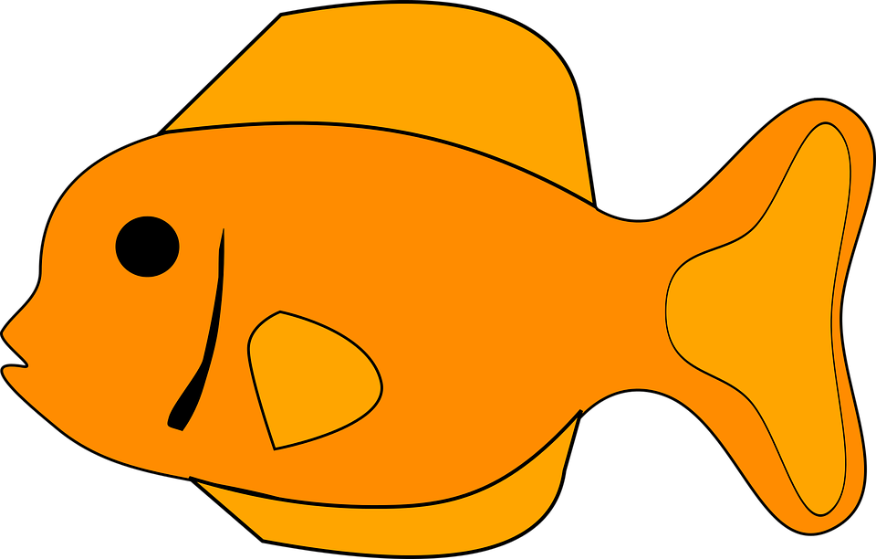 Goldfish yellow