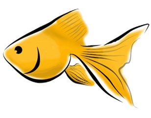 goldfish clipart yellow