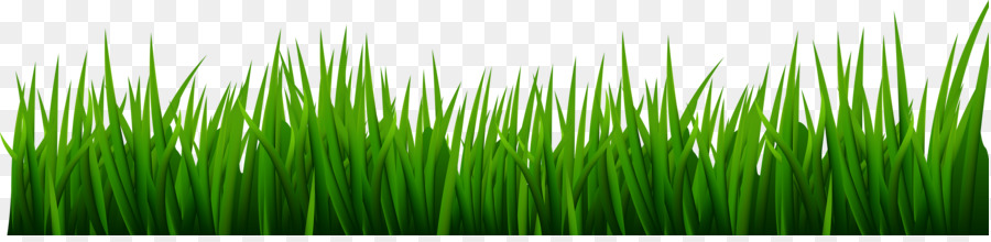 golf clipart grass hd