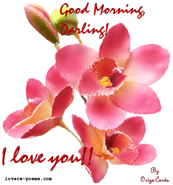 Love you animation find. Wednesday clipart good morning