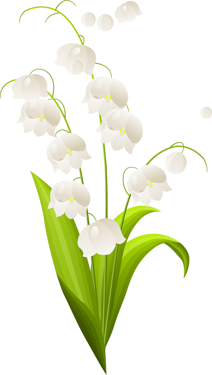  cake clipartflower. Google clipart flowar