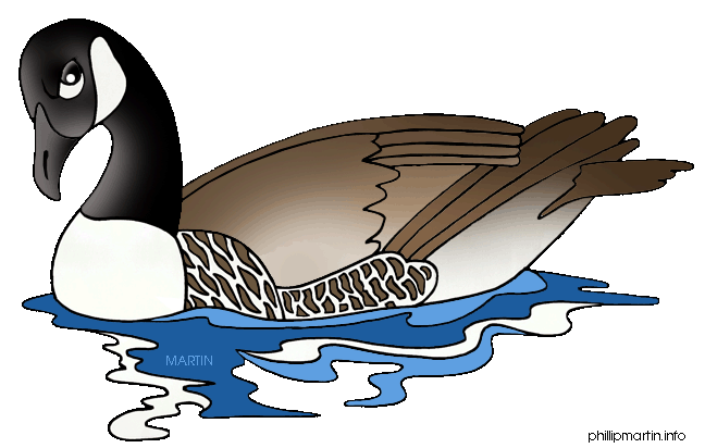 goose clipart animal canadian