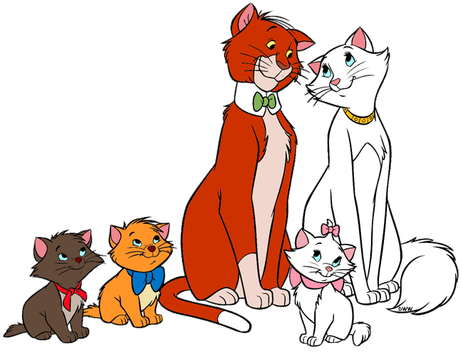 Kittens cat family