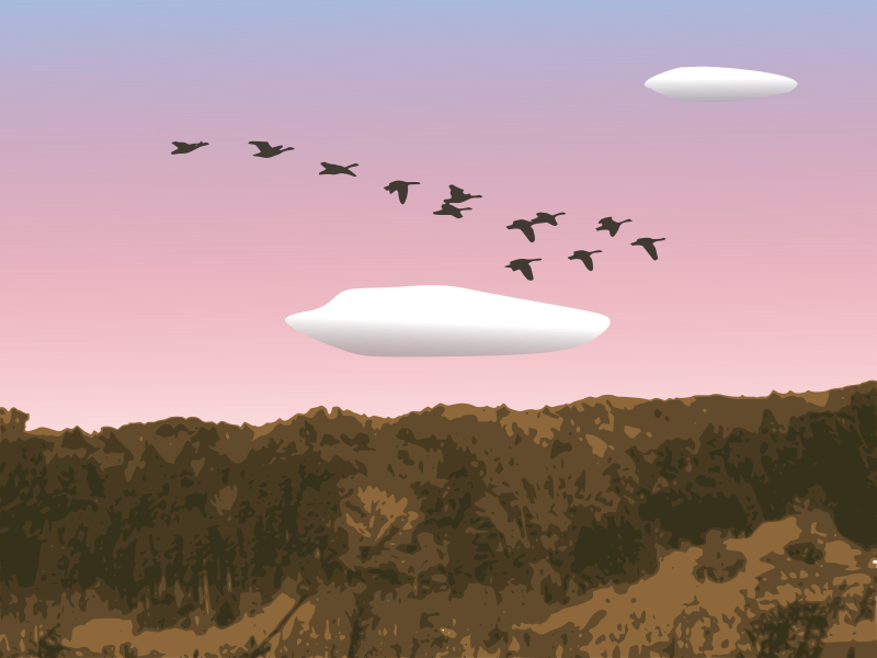 goose clipart bird migration