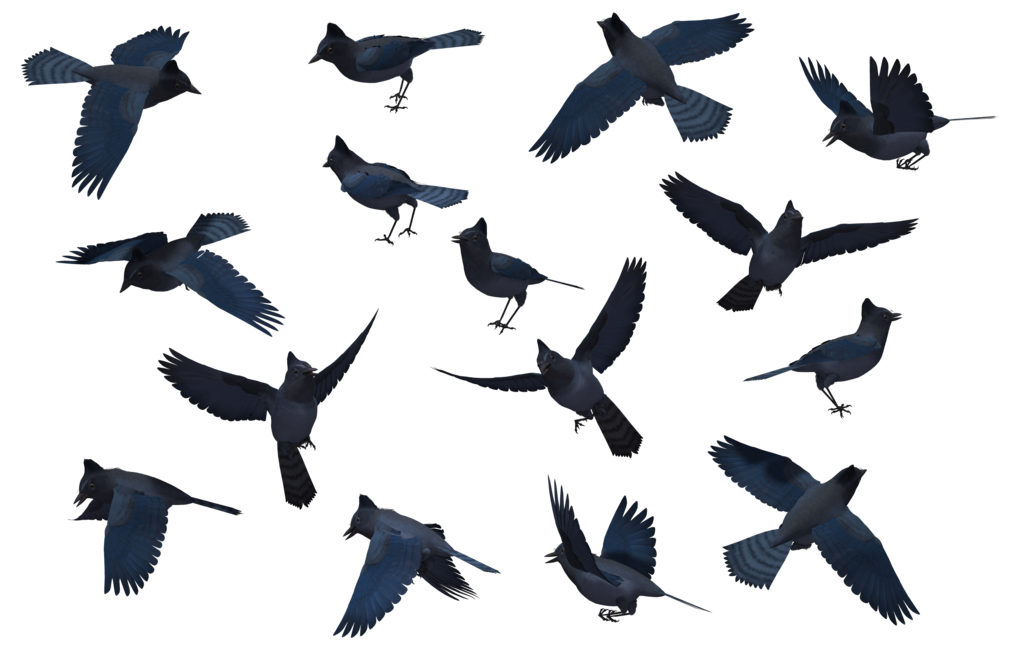 goose clipart bird migration
