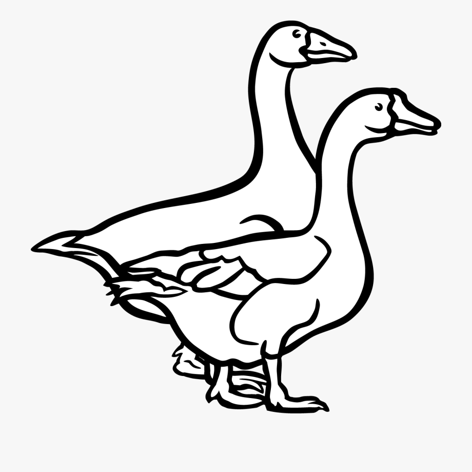 Goose clipart charlotte's web. Black and white free