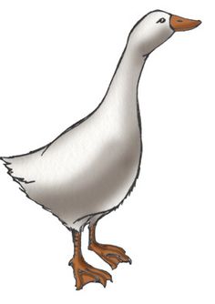 Goose clipart charlotte's web.  best geese images