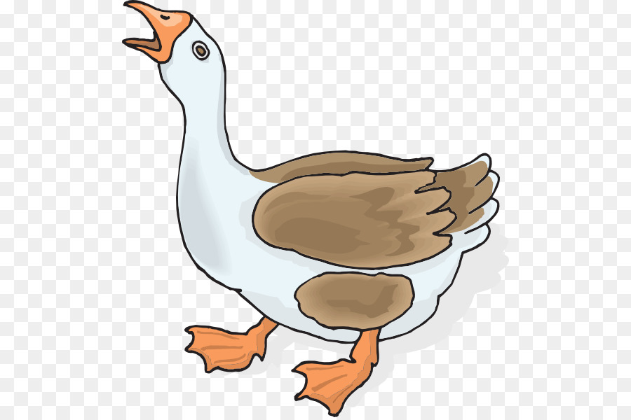 goose clipart domestic animal